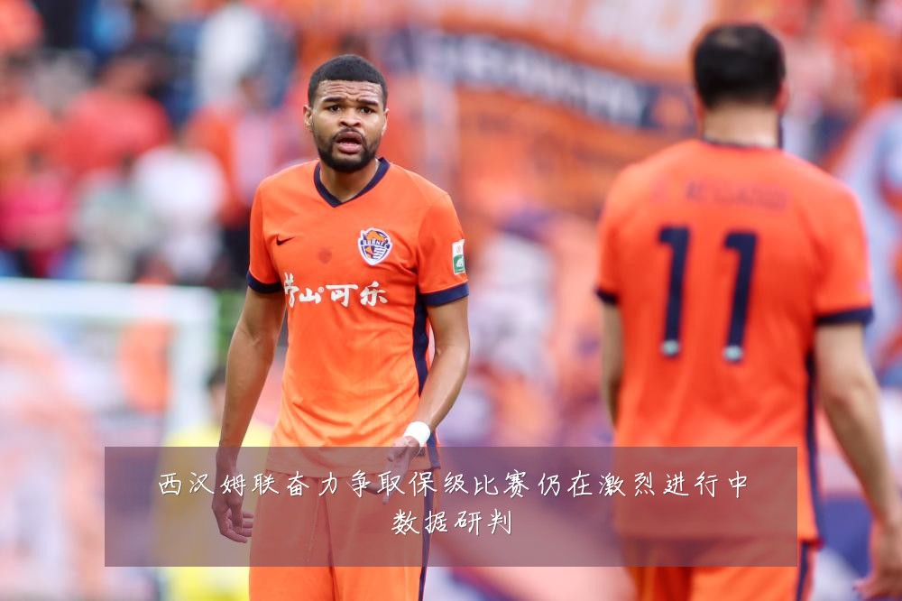 西汉姆联奋力争取保级比赛仍在激烈进行中数据研判